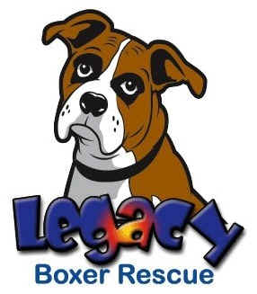 Featured Boxer Rescue: Legacy Boxer Rescue